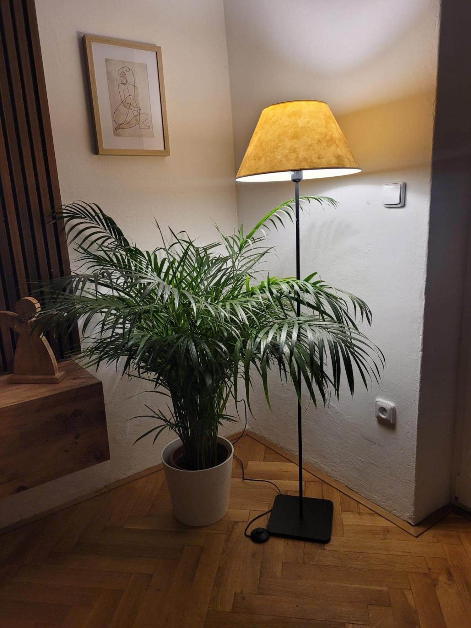 Novy Apartman Eva Jicin Ngoại thất bức ảnh
