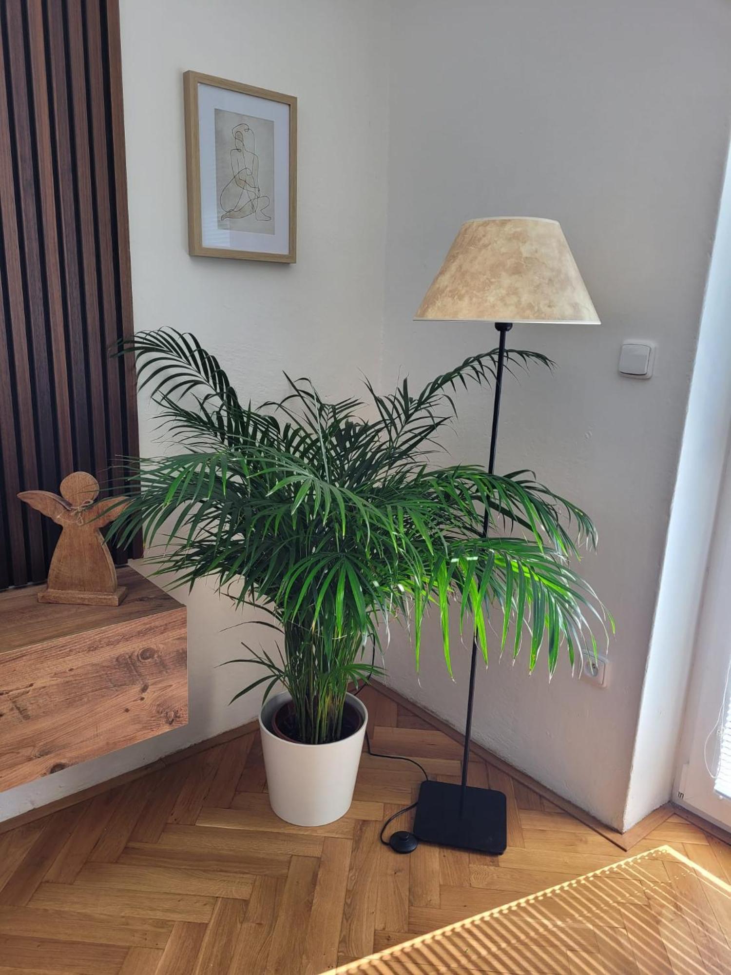 Novy Apartman Eva Jicin Ngoại thất bức ảnh